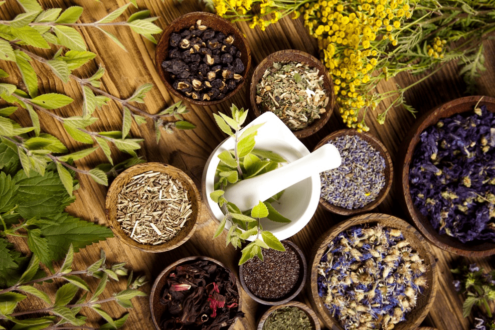 herbes médicinales pour la puissance